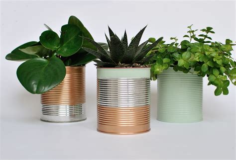 tin pots for plants